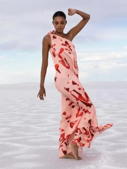 Diago Dress - Saly Rose